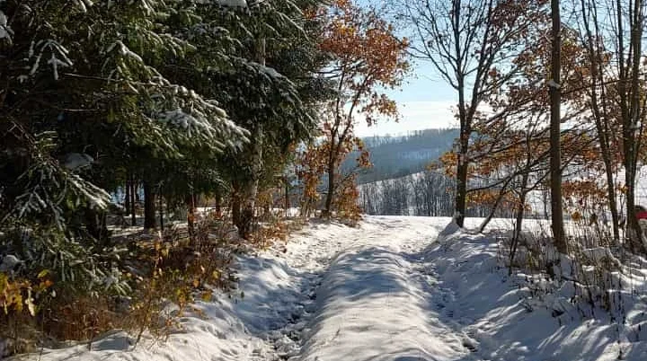 Rund um Alteinhain - Winterwanderweg | © DAV _ J. Seyboldt Rund um Alteinhain - Winterwanderweg | © DAV _ J. Seyboldt