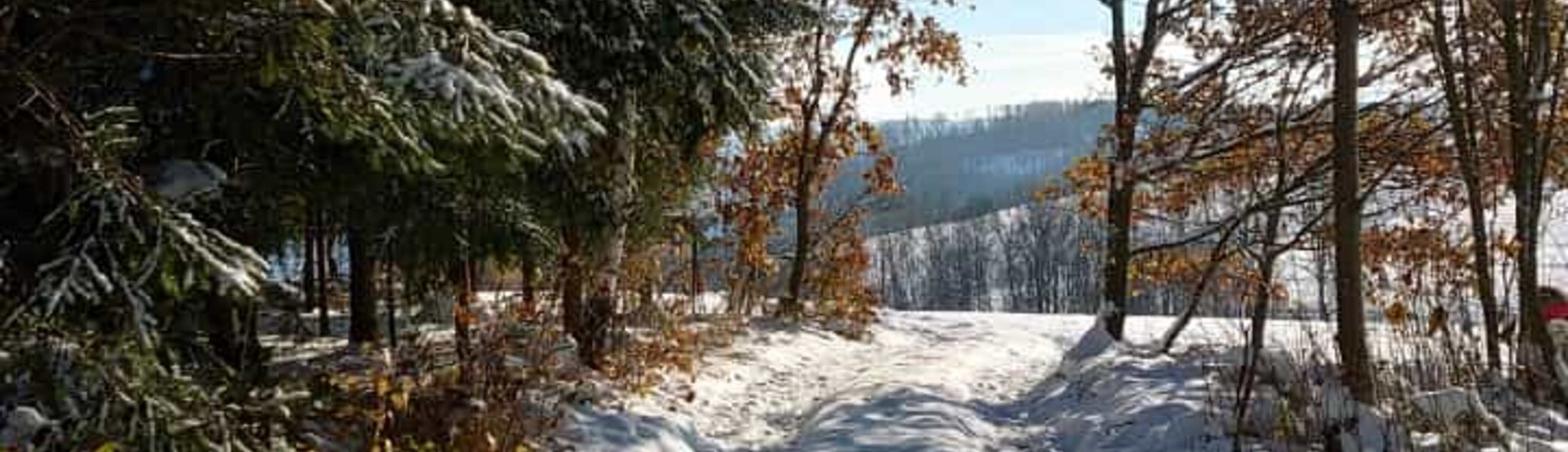 Rund um Alteinhain - Winterwanderweg | © DAV _ J. Seyboldt