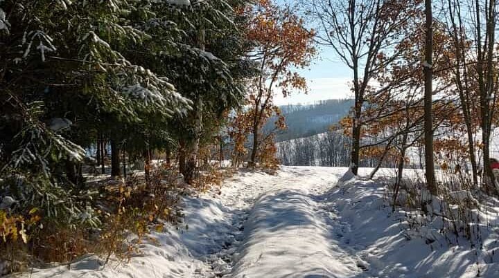 Rund um Alteinhain - Winterwanderweg | © DAV _ J. Seyboldt